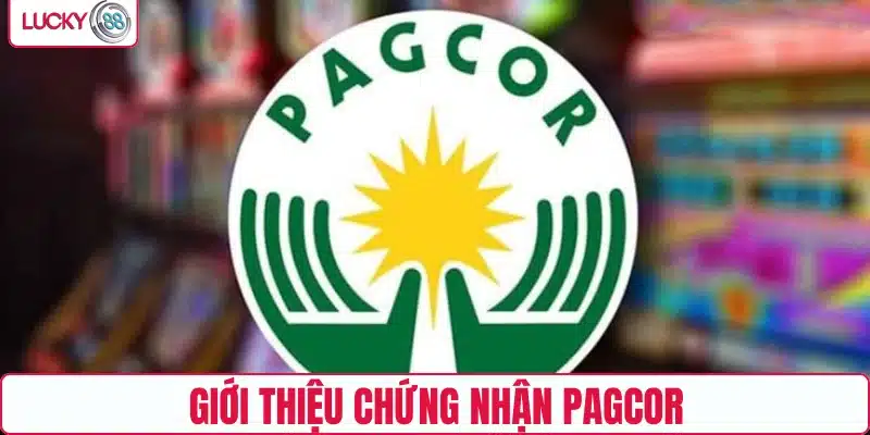 Giới thiệu chứng nhận PAGCOR