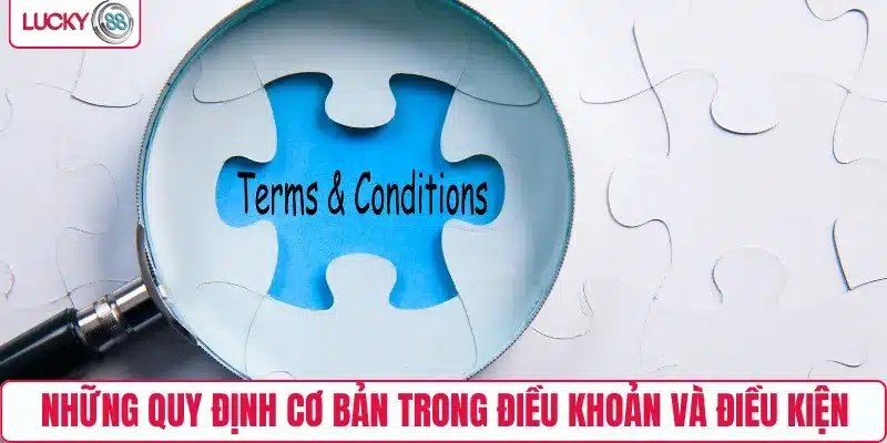 Tổng hợp các ý trong điều khoản và điều kiện