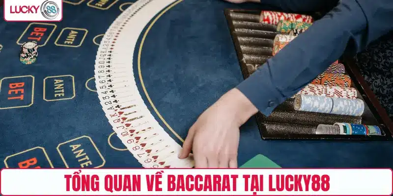 Tổng quan về Baccarat tại LUCKY88